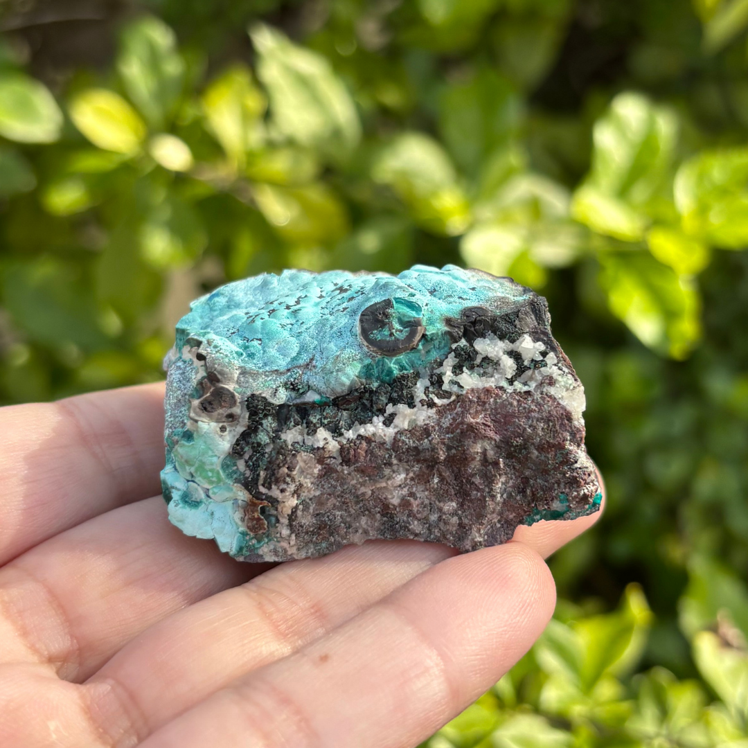 Chrysocolla with Malachite Specimen