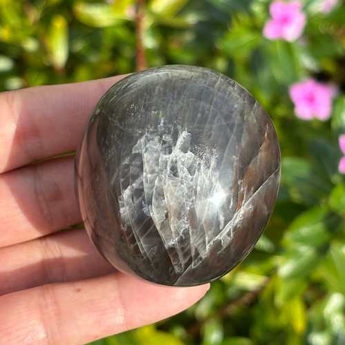 Black Moonstone Palm Stone