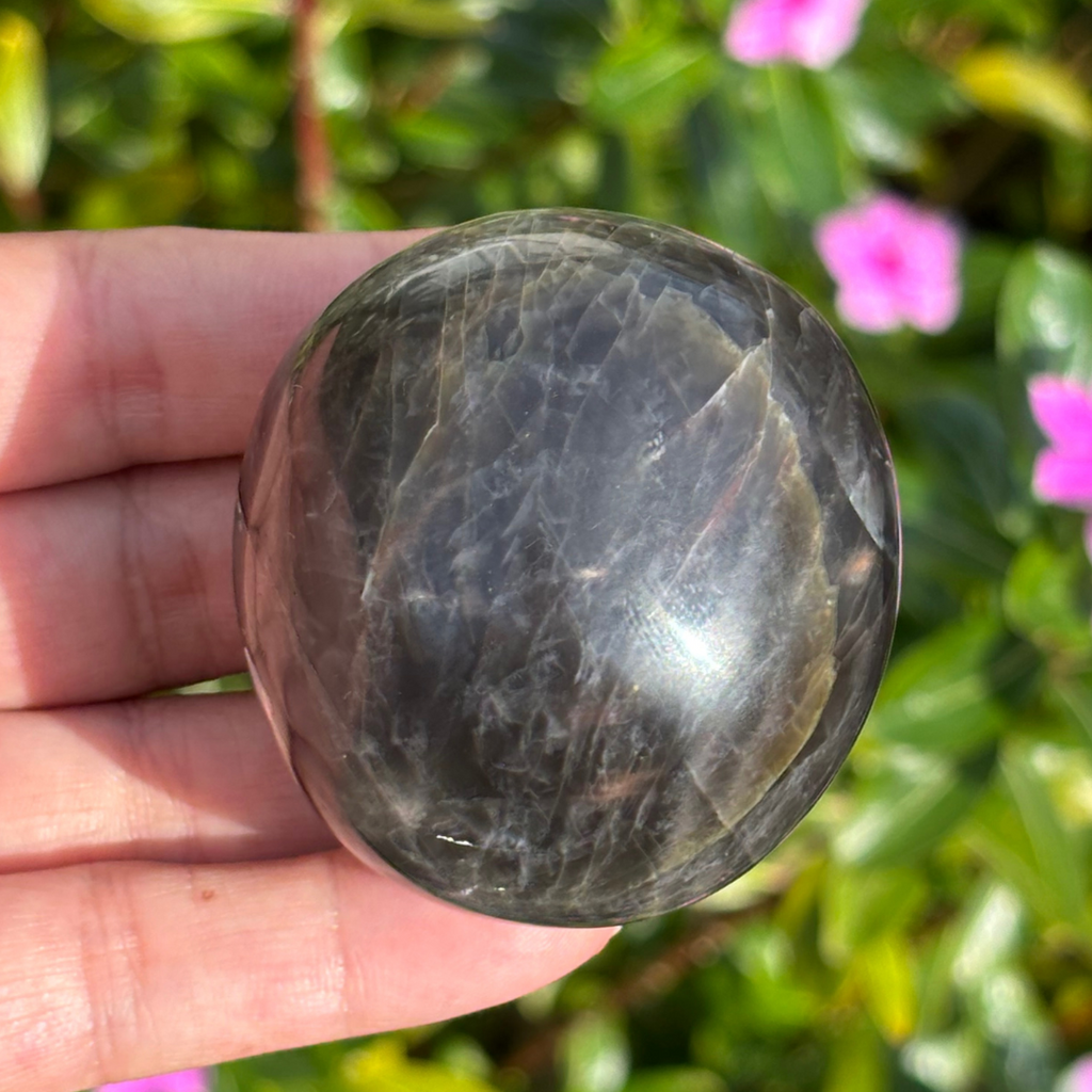 Black Moonstone Palm Stone
