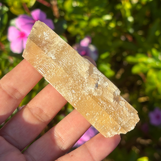 Golden Selenite (UV Reactive) - Morocco