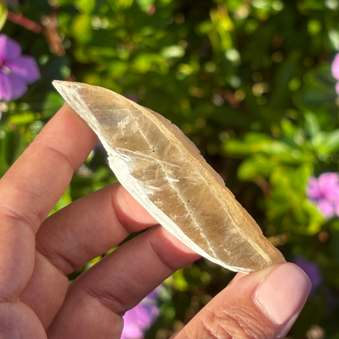 Golden Selenite (UV Reactive) - Morocco