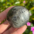 Black Moonstone Palm Stone