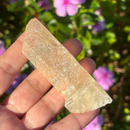 Golden Selenite (UV Reactive) - Morocco