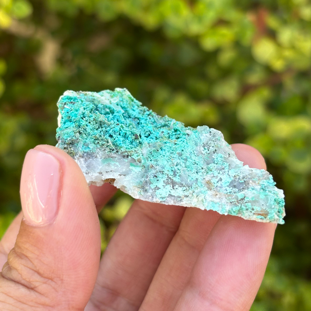 Aurichalcite Specimen