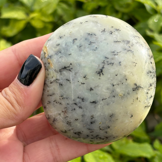 Dendritic Opal Palm Stone