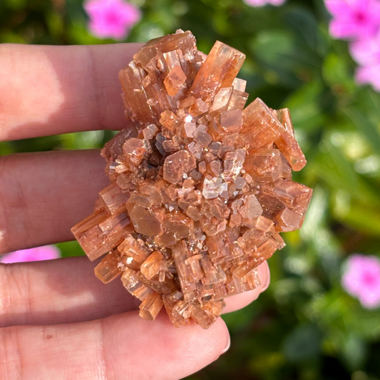 Aragonite Star Cluster