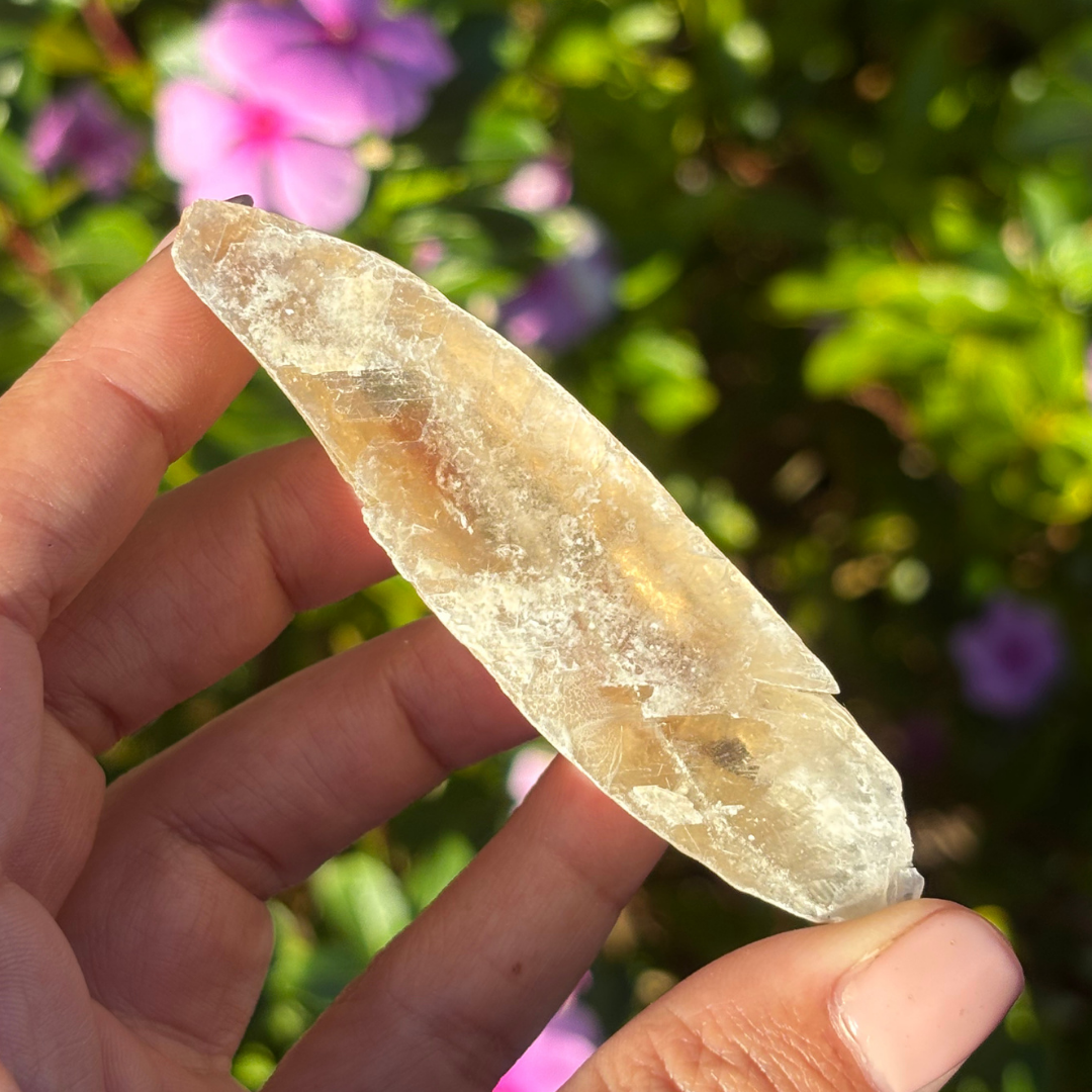 Golden Selenite (UV Reactive) - Morocco
