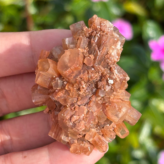Aragonite Star Cluster