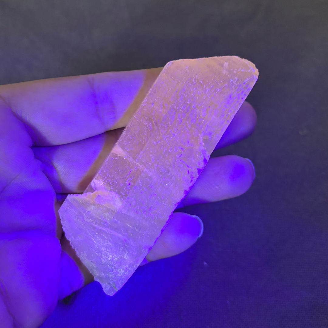 Golden Selenite (UV Reactive) - Morocco
