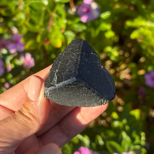 Black Tourmaline Mercedes Point