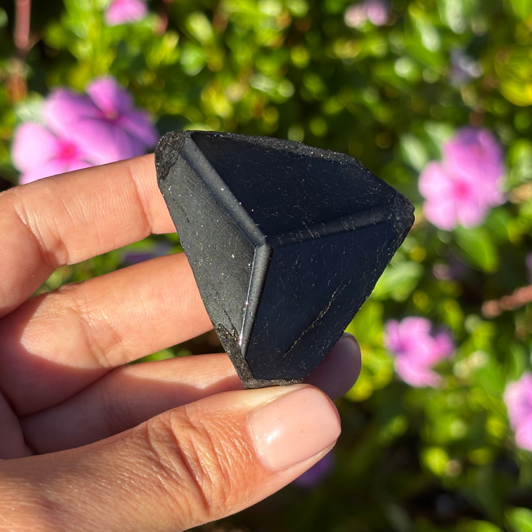 Black Tourmaline Mercedes Point