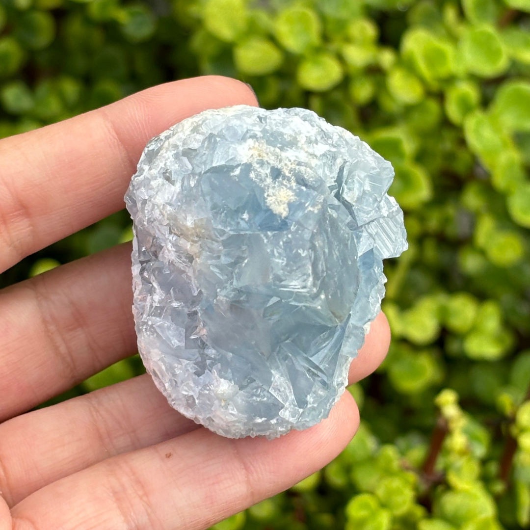 Celestite (aka Celestine) Cluster