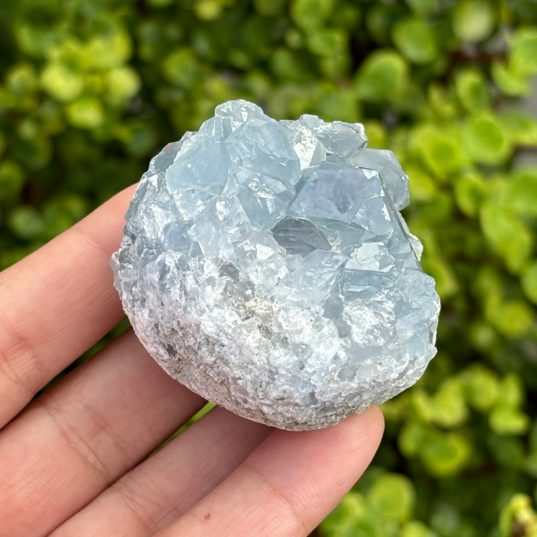 Celestite (aka Celestine) Cluster