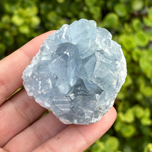 Celestite (aka Celestine) Cluster