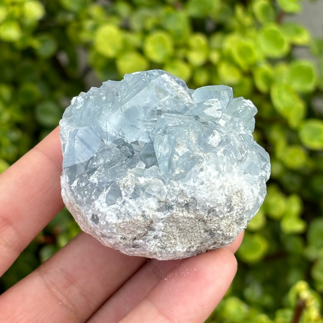 Celestite (aka Celestine) Cluster