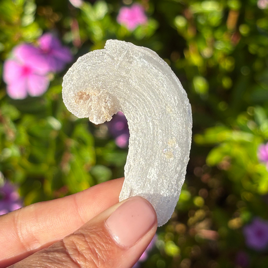 Curved Gypsum Selenite - Super Sparkly (UV Reactive)