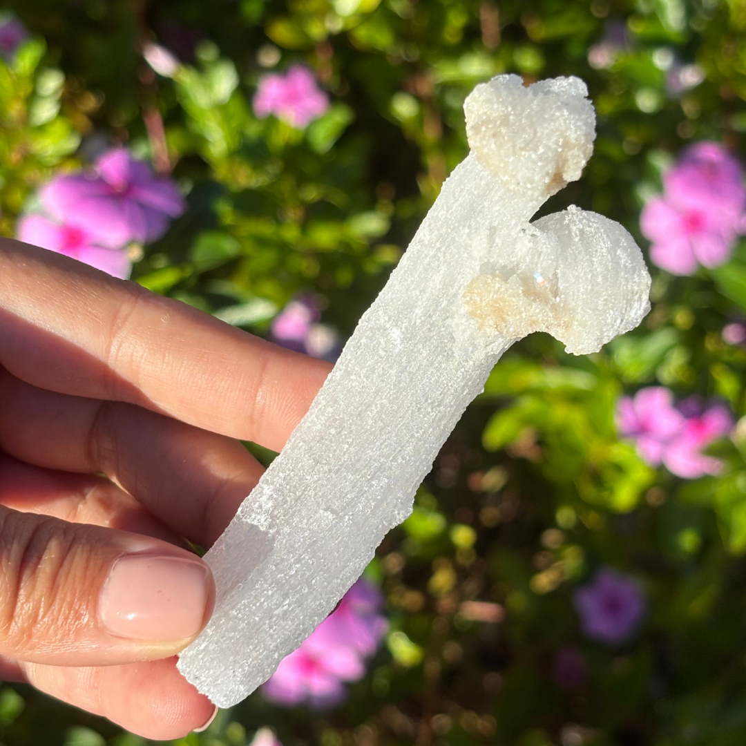 Curved Gypsum Selenite - Super Sparkly (UV Reactive)