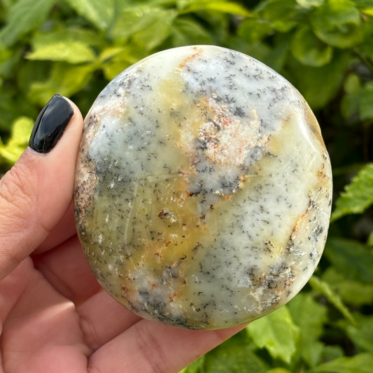 Dendritic Opal Palm Stone