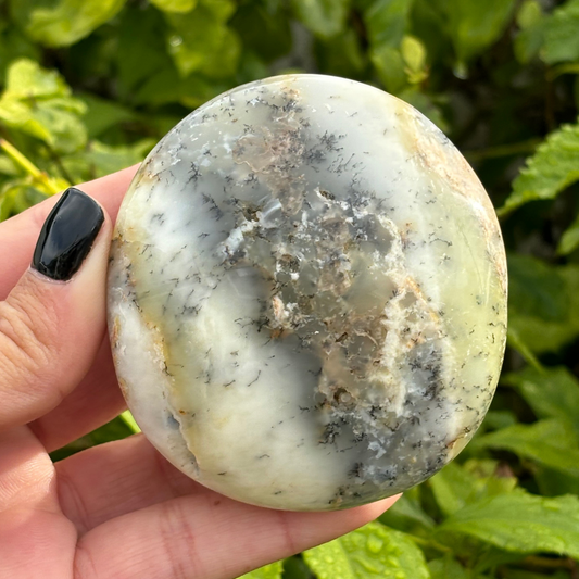 Dendritic Opal Palm Stone