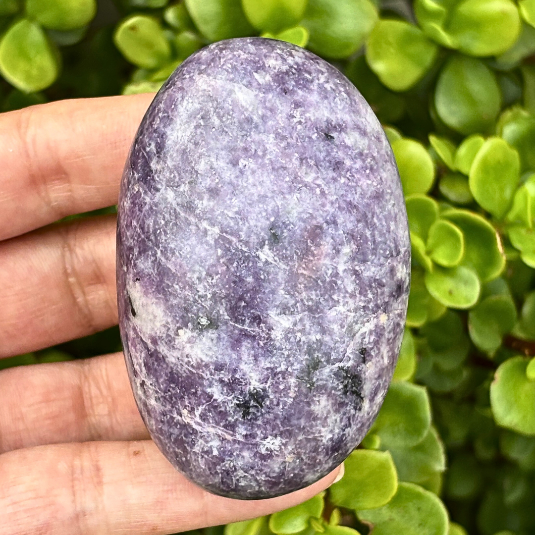 Lepidolite Palm Stone - Large