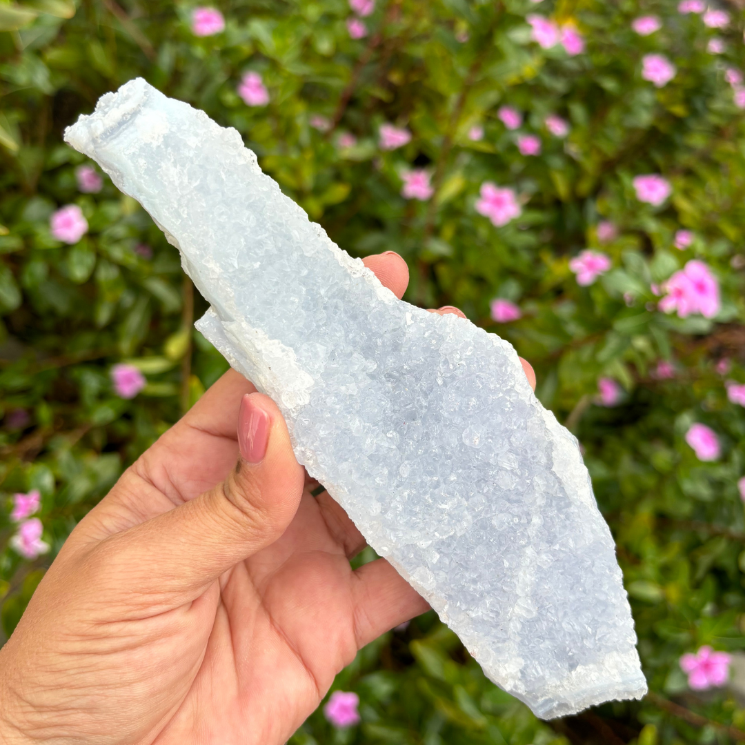 Blue Lace Agate Specimen