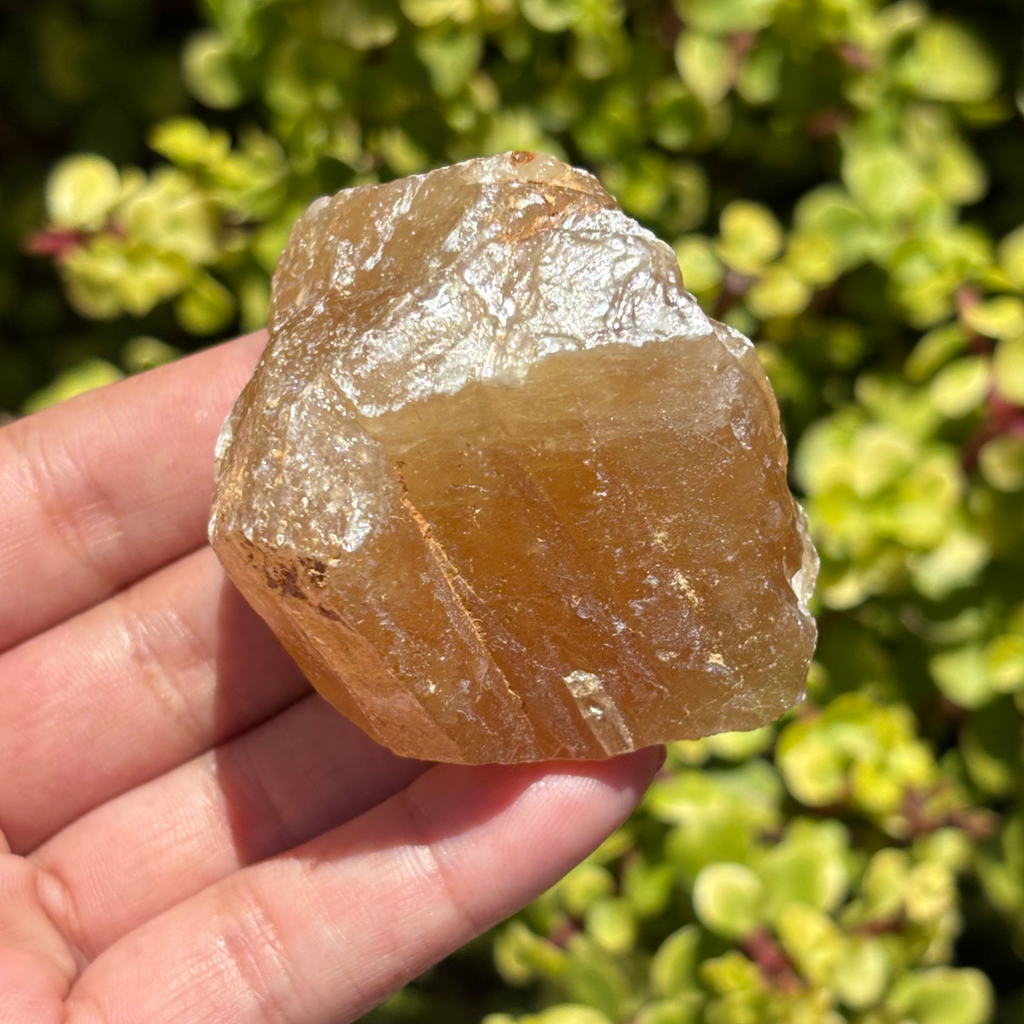 Honey Aragonite Natural