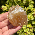 Honey Aragonite Natural