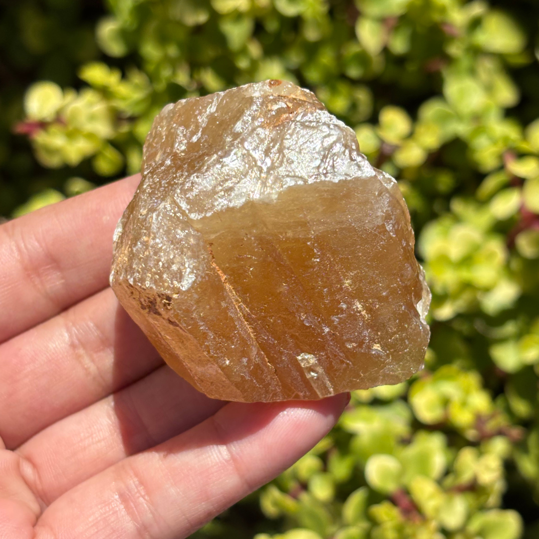 Honey Aragonite Natural