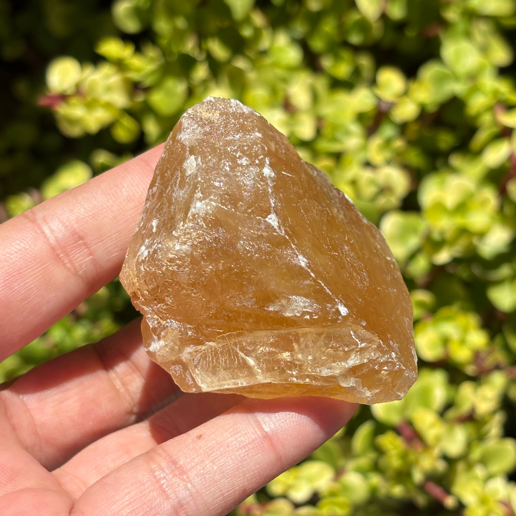 Honey Aragonite Natural