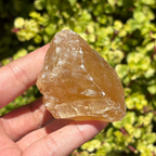 Honey Aragonite Natural