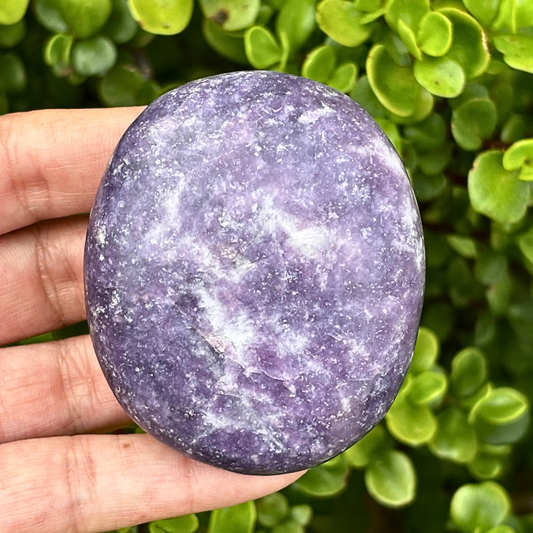 Lepidolite Palm Stone - Large