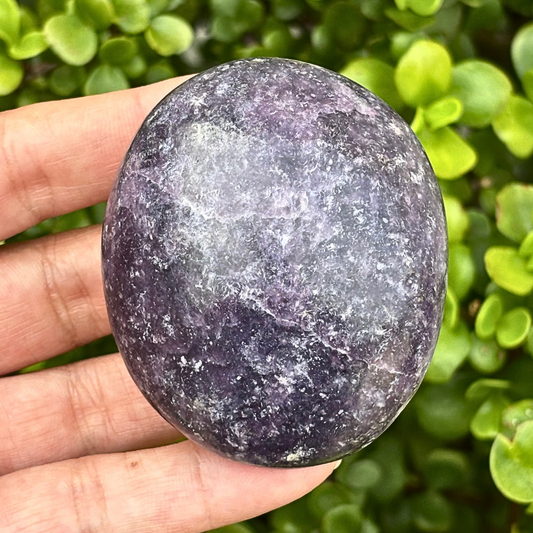 Lepidolite Palm Stone - Large