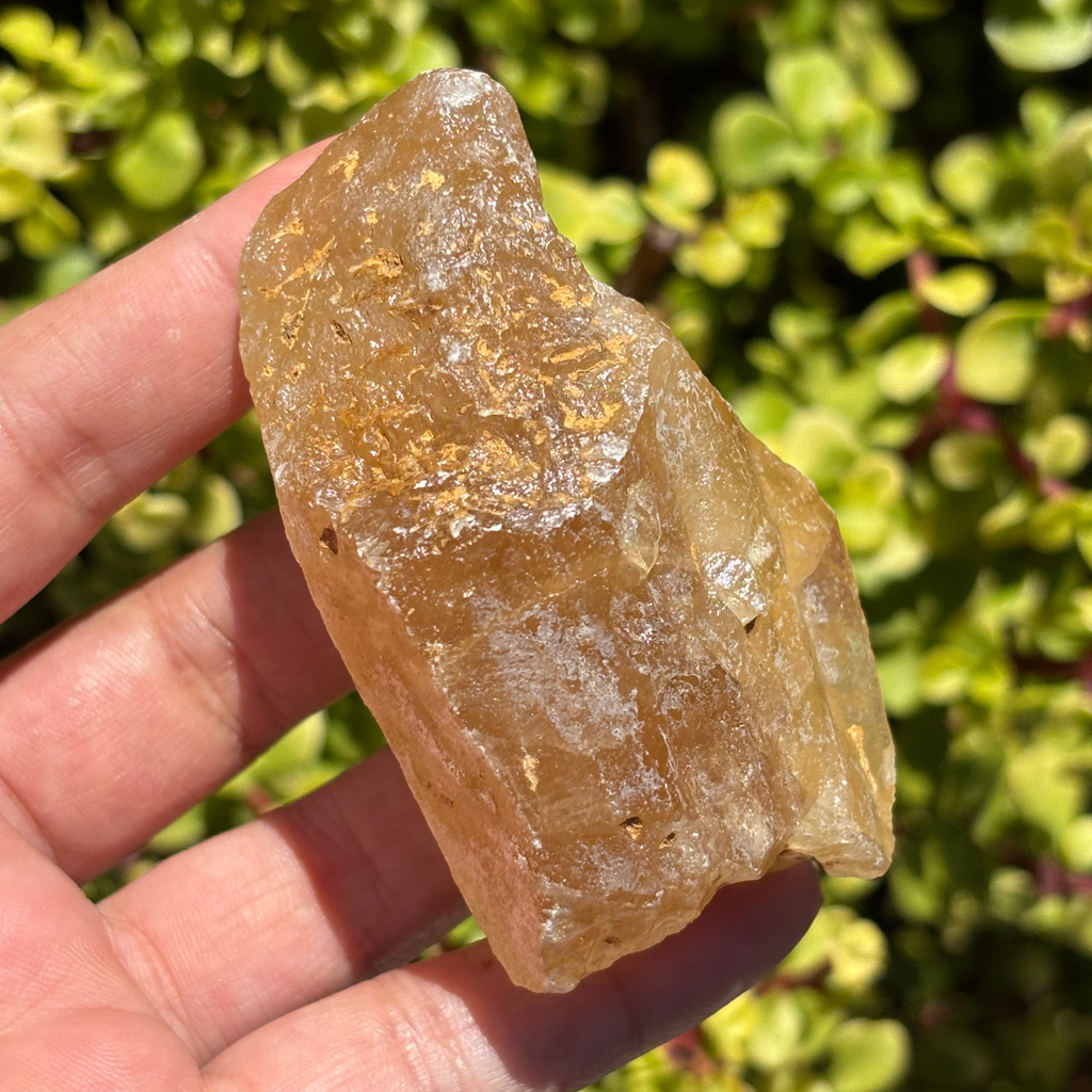 Honey Aragonite Natural