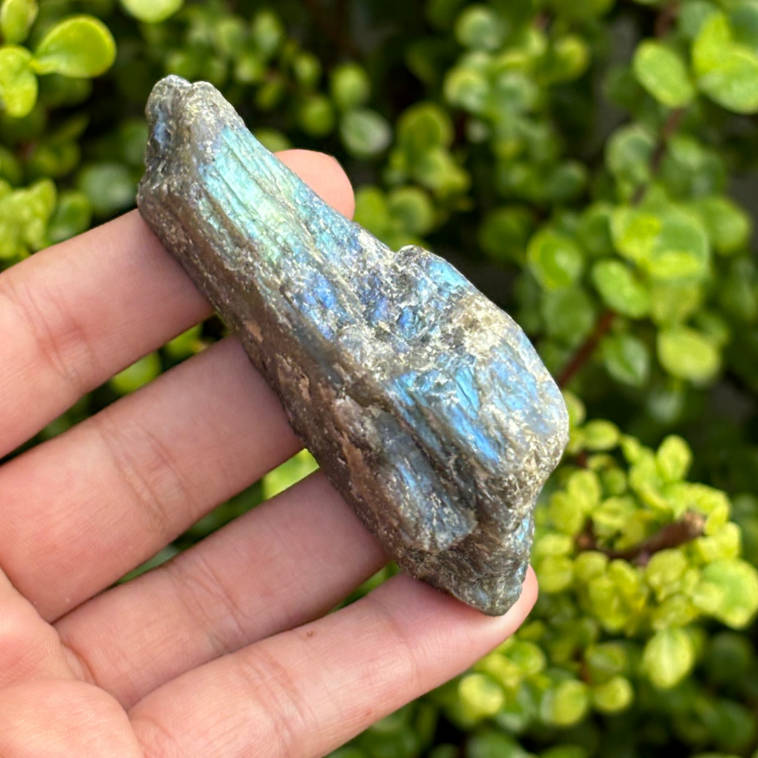 Labradorite Half Polished Piece