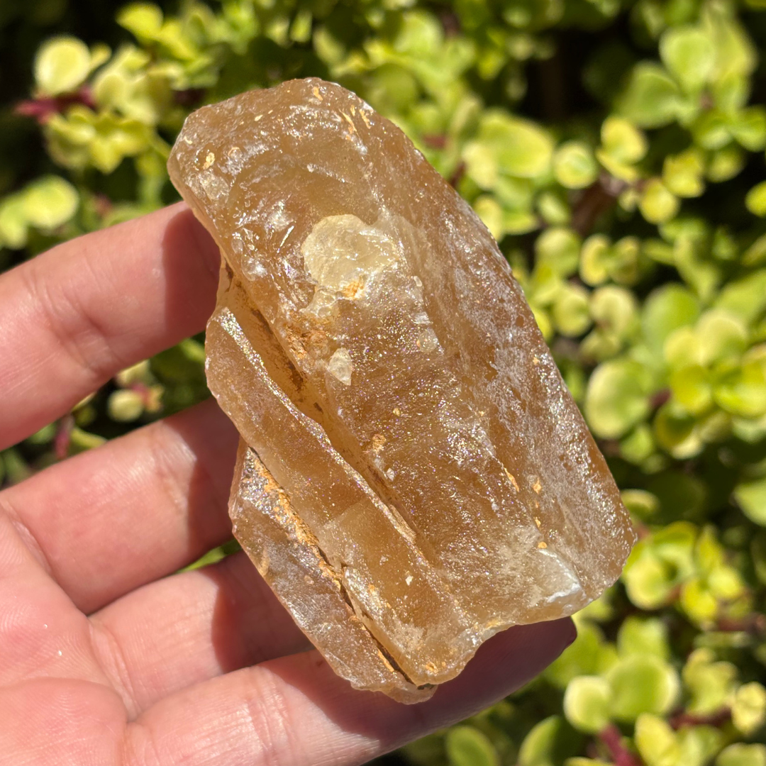 Honey Aragonite Natural