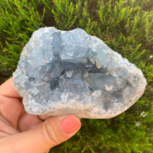 Celestite (aka Celestine) Cluster