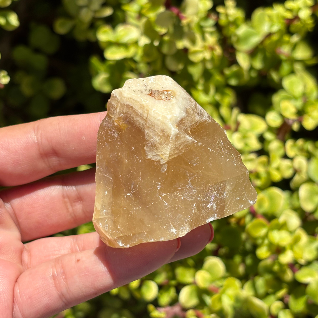 Honey Aragonite Natural