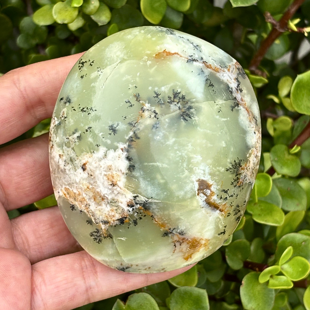 Dendritic Opal Palm Stone