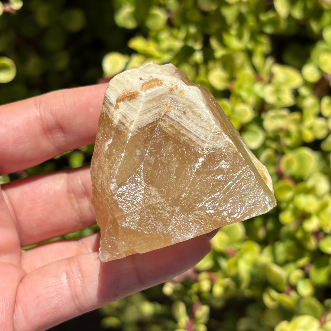 Honey Aragonite Natural