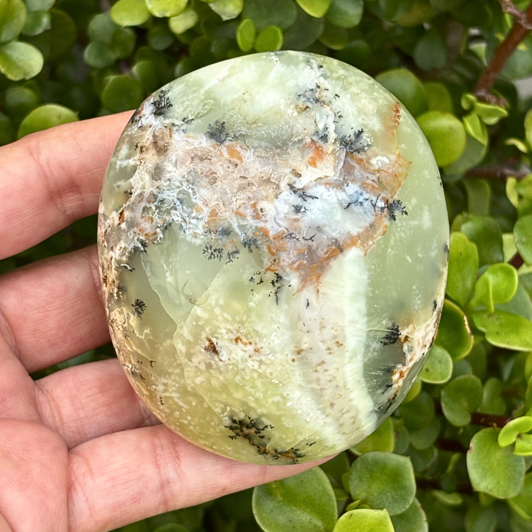 Dendritic Opal Palm Stone - Large