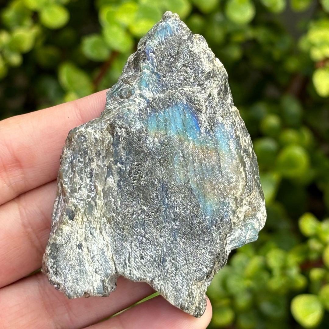 Labradorite Half Polished Piece