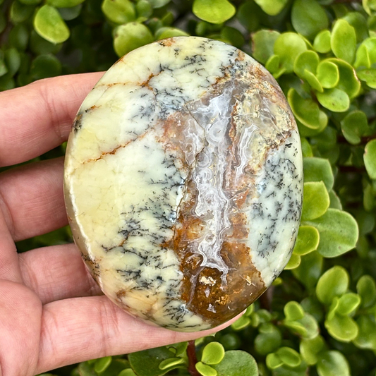 Dendritic Opal Palm Stone - Large