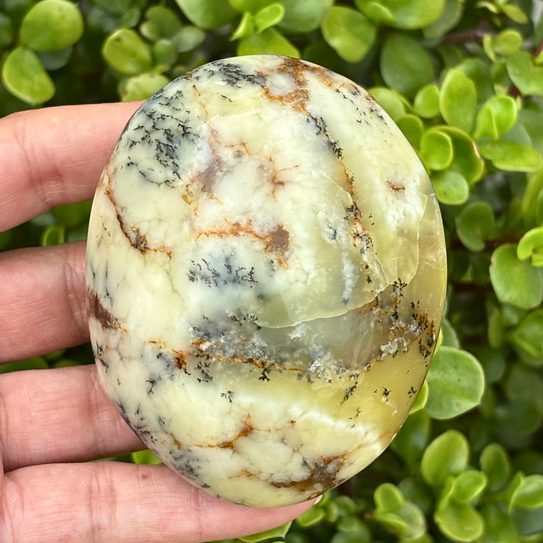 Dendritic Opal Palm Stone - Large