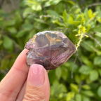 Amethyst (Royal Zulu) Specimen