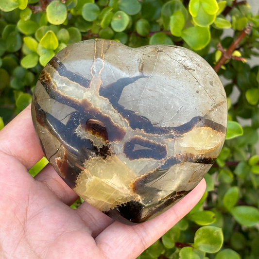 Septarian Polished Heart (Dragon Stone)