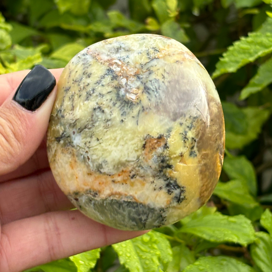 Dendritic Opal Palm Stone