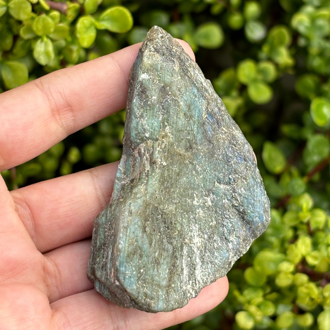 Labradorite Half Polished Piece
