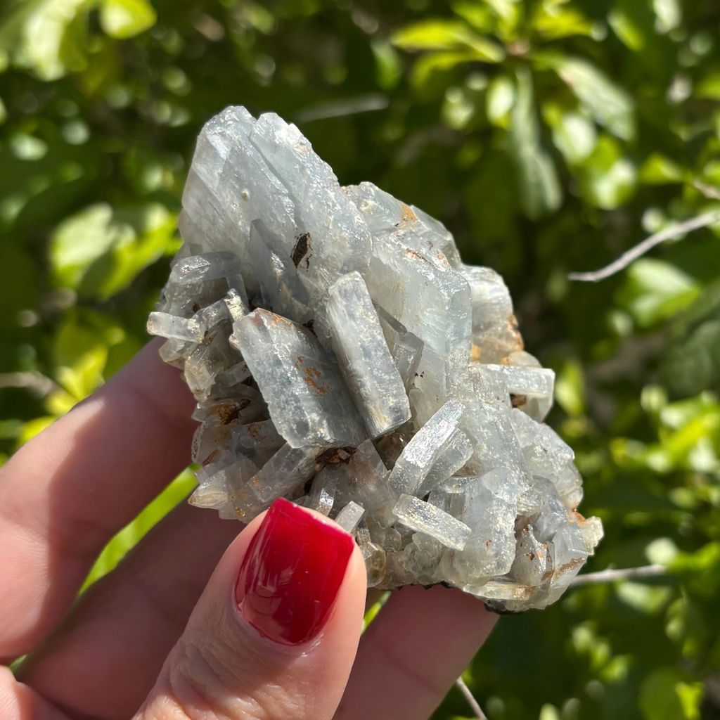 Bladed Celestine with Sulphur Specimen