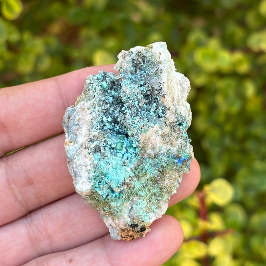 Aurichalcite Specimen