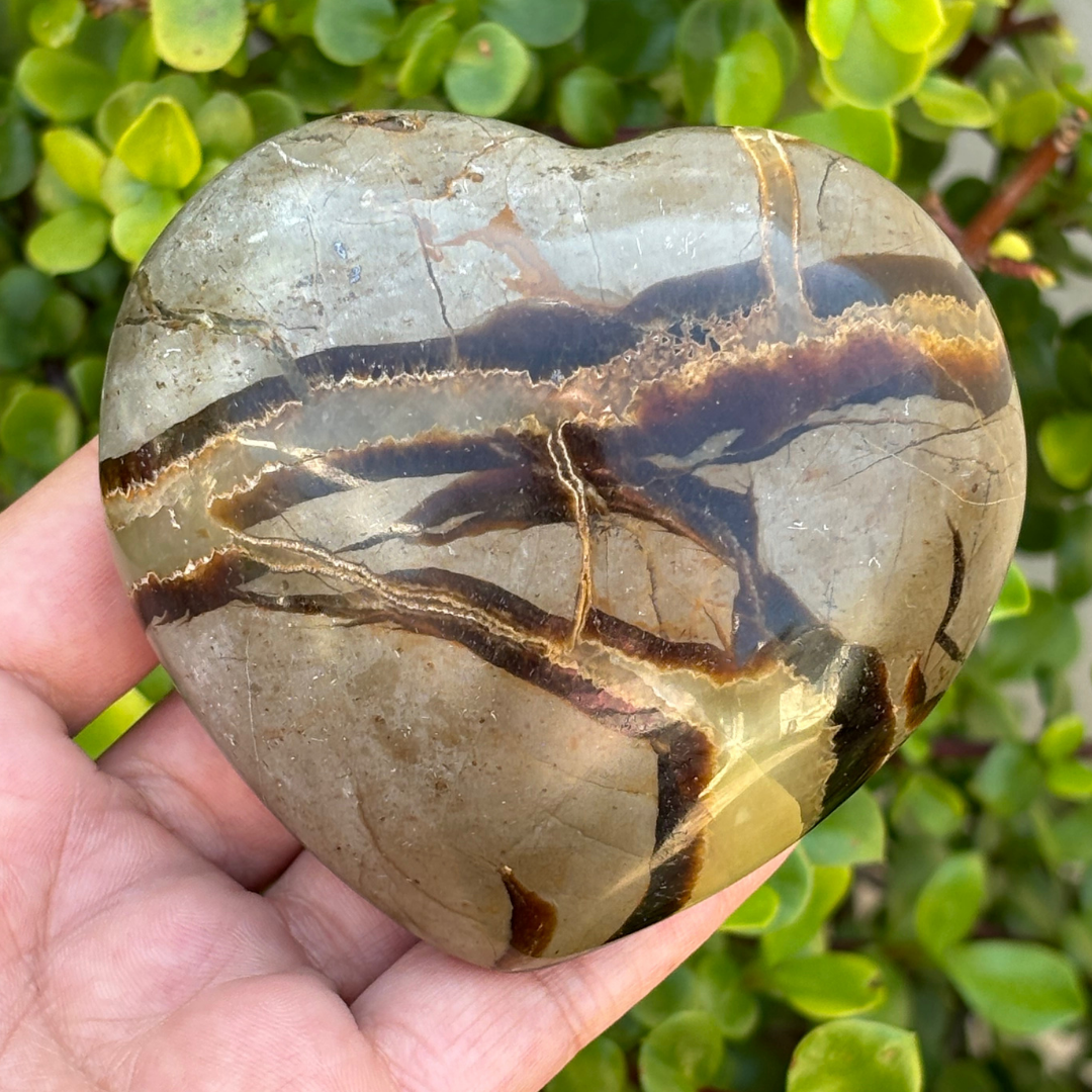 Septarian Polished Heart (Dragon Stone)